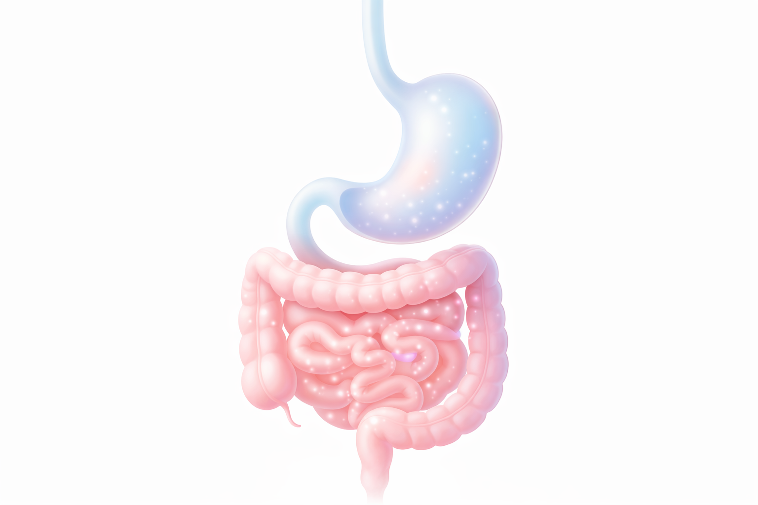 Health and wellness concept